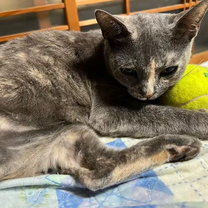 まーちゃんだっちゅーの