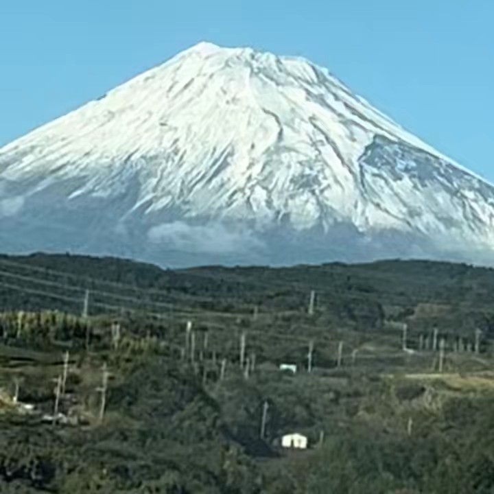 MAMALEA🇯🇵🇵🇭