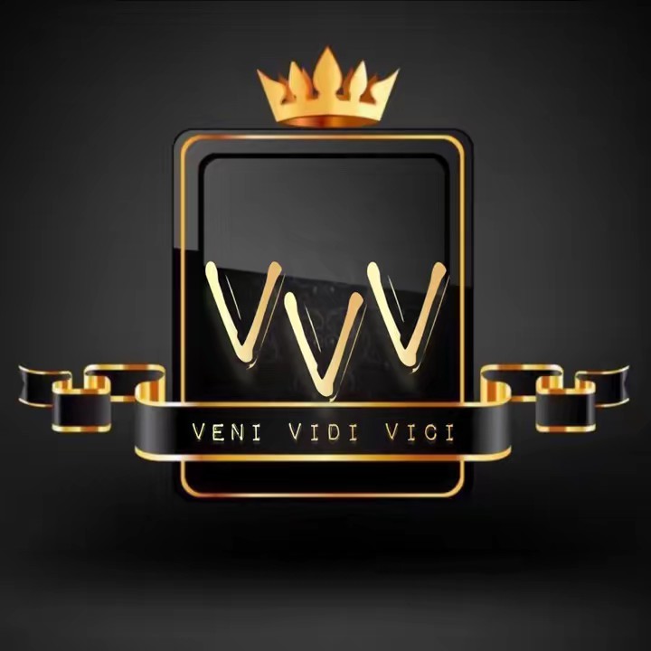 VENI VIDI VICI ENTERTAINMENT