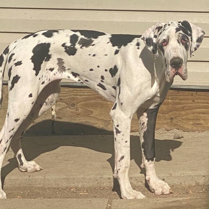 GEN X 1967 Tammy 🇨🇦#snowjar