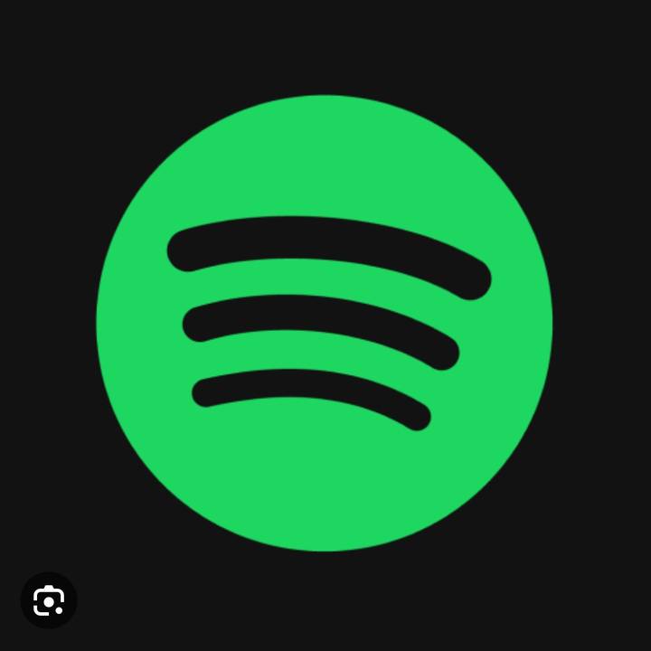 Spotify_songs