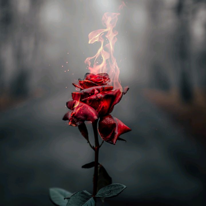 دراما متنوعة 🔥🤍