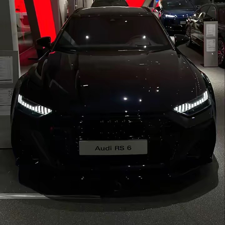 the_audi_fan