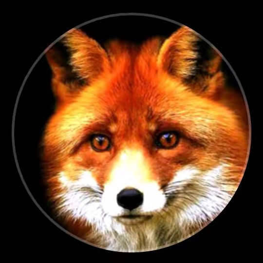 Emma 최승현 사랑해요🇰🇷❣️🌺 T.O.P ❤️