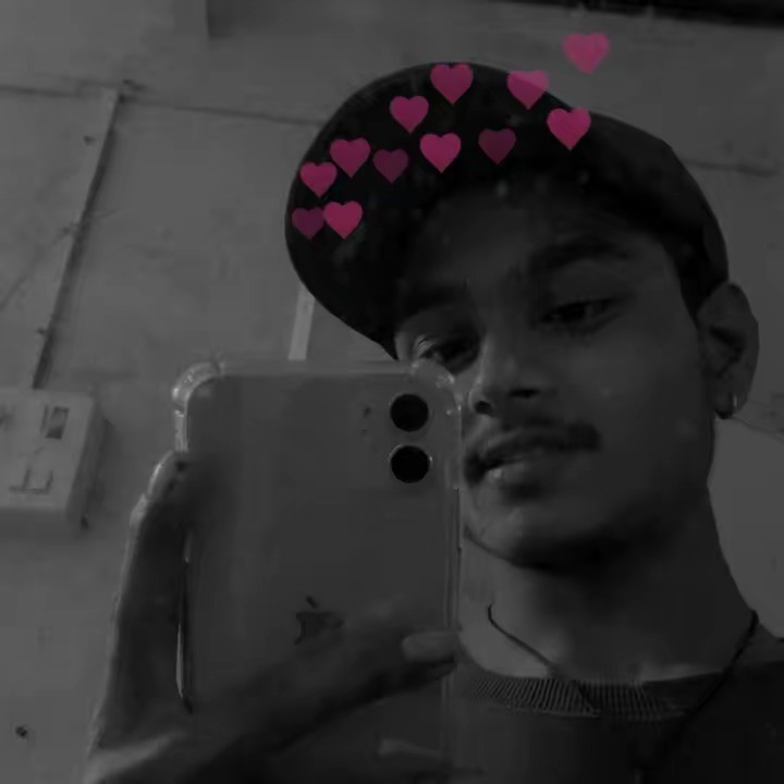 ☆*:.｡.𝑷𝒶𝓉𝒶𝖗𝙠à.｡.:*☆