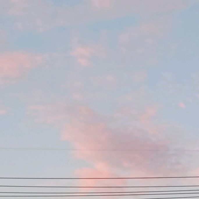 🎵노래모음🎵