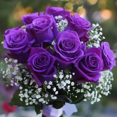 Šőľ Łäįņëž dé čã!ñęțë @oficial