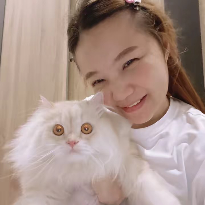 May mae @Sale Toyota