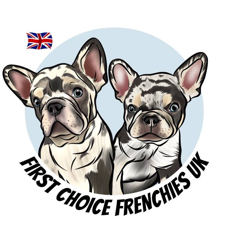 First Choice Frenchies