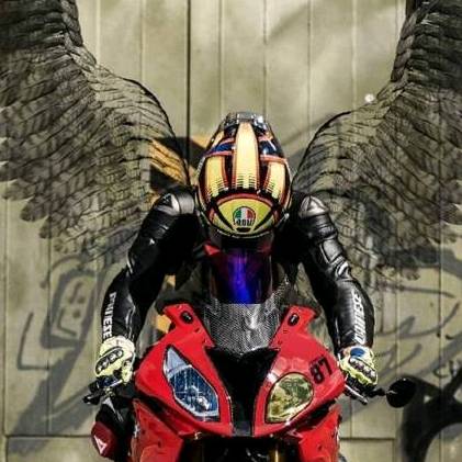 ╰‿╯мσтσყคмคнคтł꧂