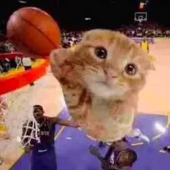 jacob/ballincat43