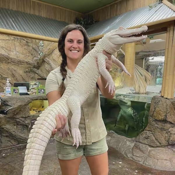 The Reptile Zoo