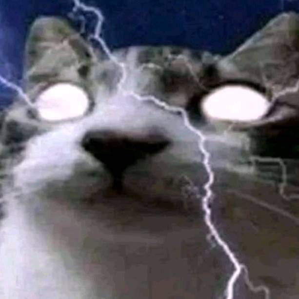 ☺︎︎ElDeLosTacos☺︎