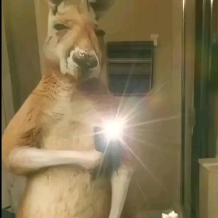 Cristian.502🇬🇹👀