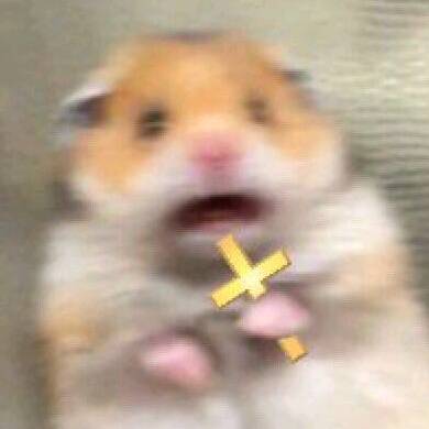 ✨🙏✝️❤️✨