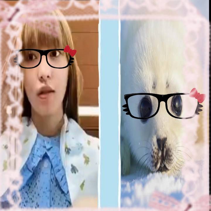 밀봉하다🎀🦭