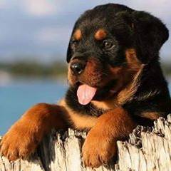 Nancy Juarez Almaraz