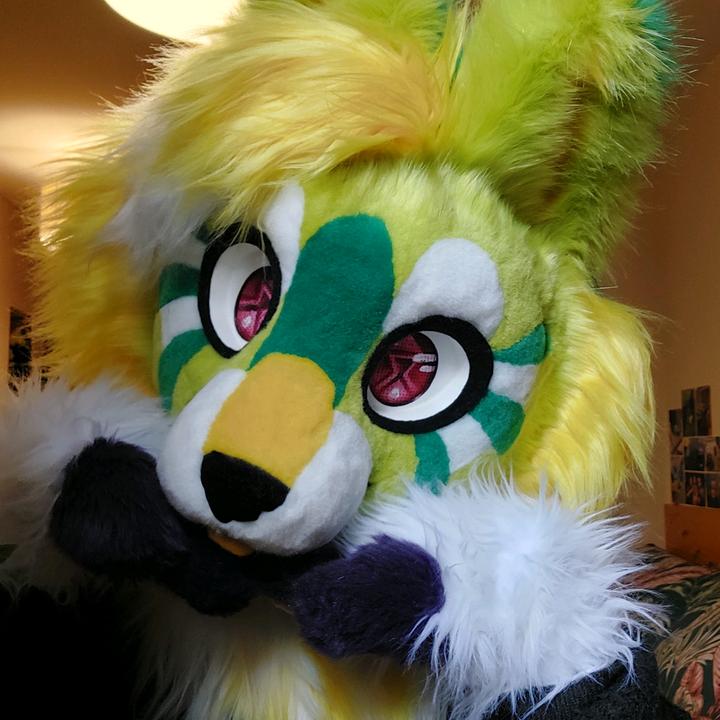 🥝✨️Kiwi✨️🥝