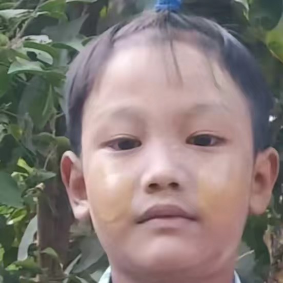 ပေါများ