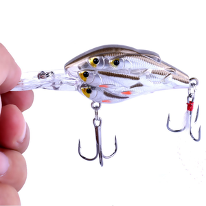 Isca Fishing