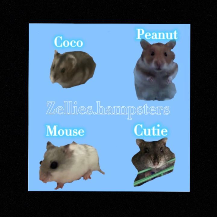 ᴥT͜͡H͜͡E͜͡H͜͡A͜͡M͜͡M͜͡Y͜͡S͜͡ ᴥ