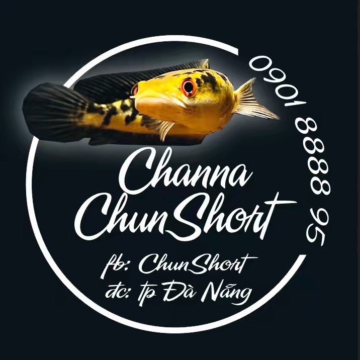 ChunShort