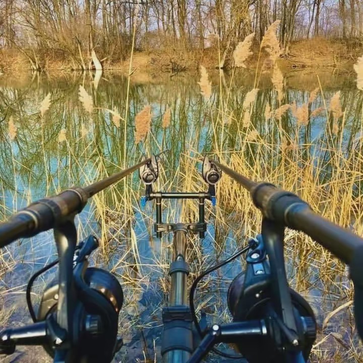 🇫🇷Thomas🇫🇷