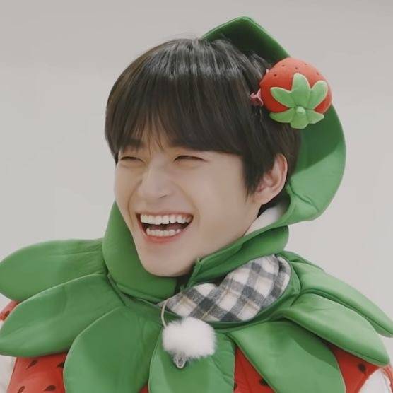 Strawberry Jungmo