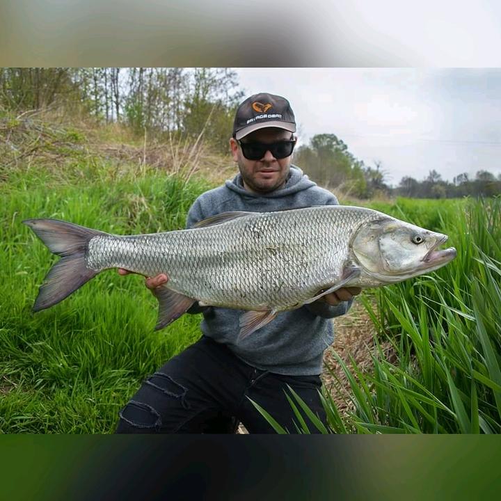 Michal_Aspius_Fishing