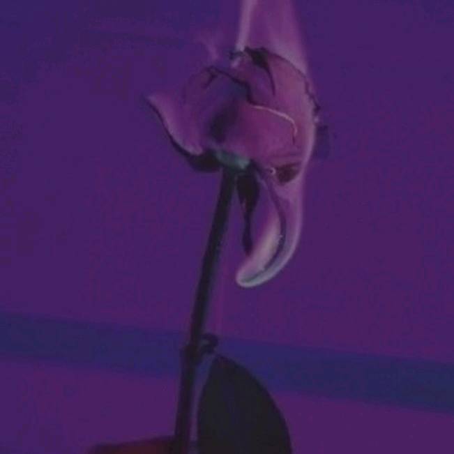 ✨kenia os,dome,Rivers,Fede✨