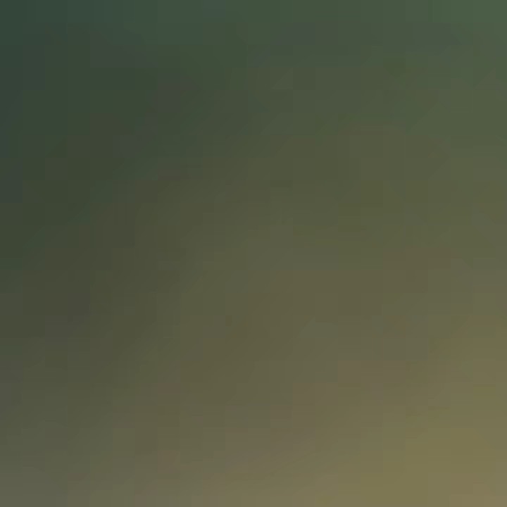 ☻🇯🇵︎❣︎🇵🇭