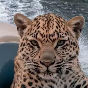 ℌ𝔢𝔯𝔫𝔵𝔫𝔡𝔢𝔷💎.