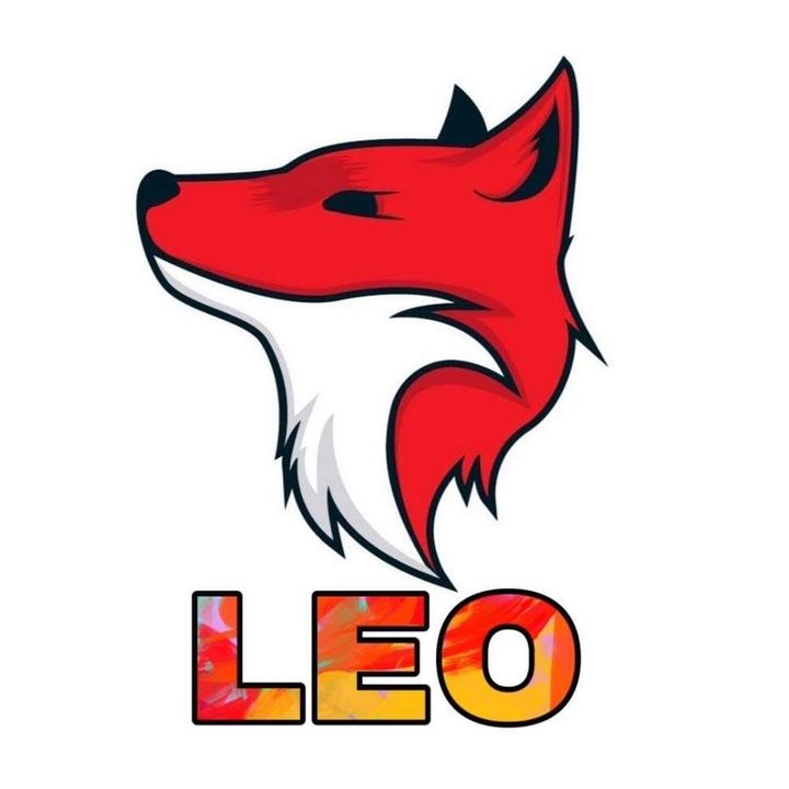 Leo_PUBG