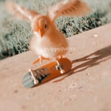 Preppy dancing and more♡♥︎