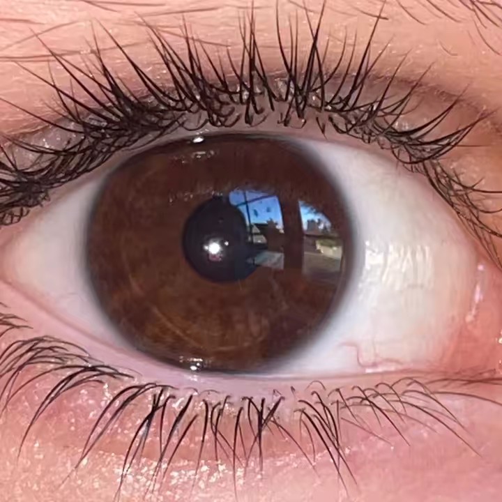 the1nonly_finjA🎀🖕🏼🇵🇱