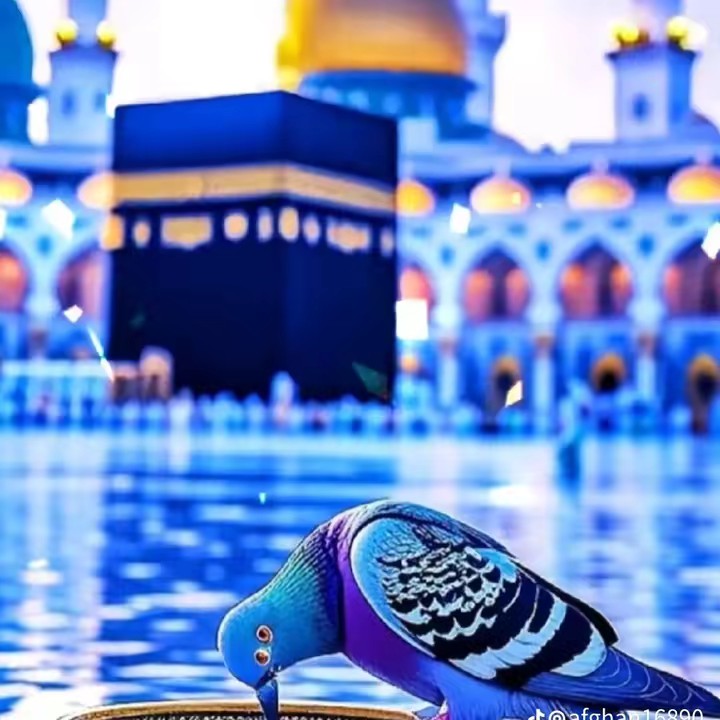 @.belalo3☪️🩷🕋⚰️☝️