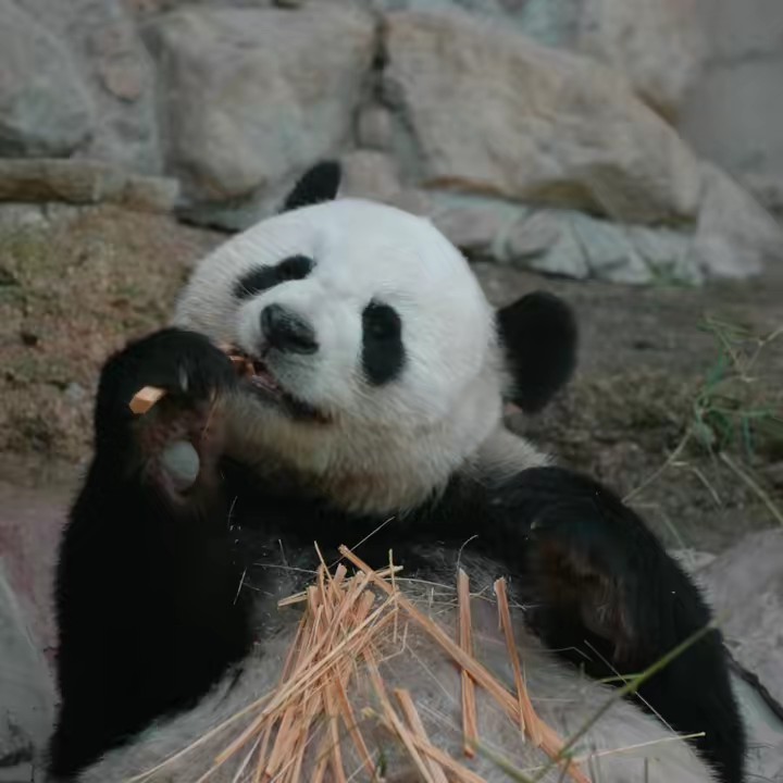 Eureka ยูเรก้าพาเพลิน