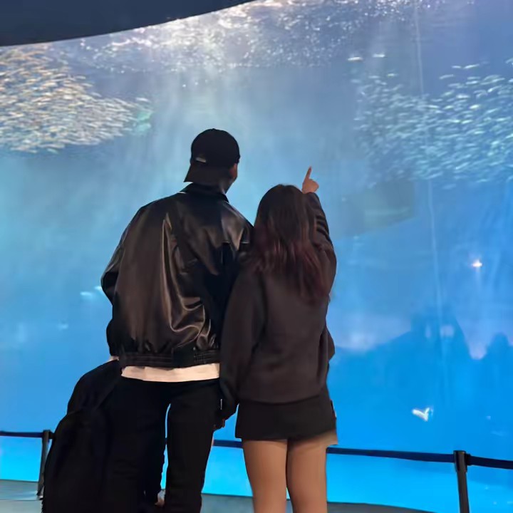 🇲🇲ABCD🇯🇵(ညငှက်)