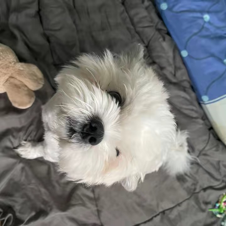 วินพาจิ้มจุ่ม