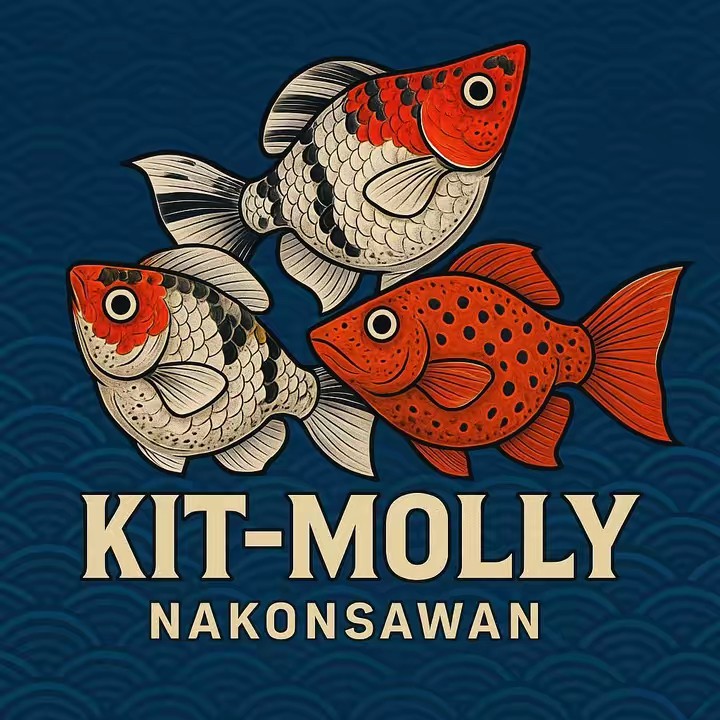 Kit nakonsawan