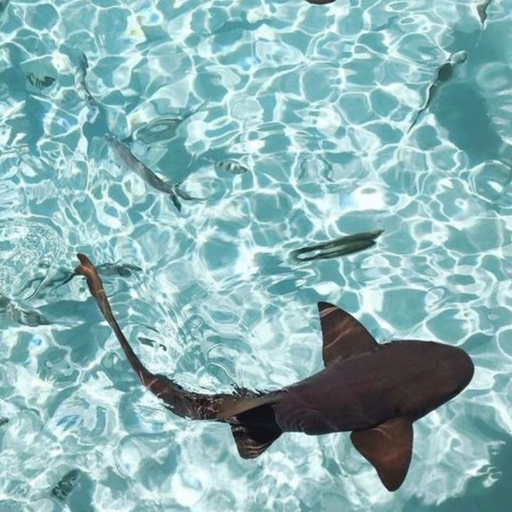 ❀𝕝𝕚𝕝𝕝𝕚𝕒𝕟/𝕝𝕚𝕝𝕝𝕪❀