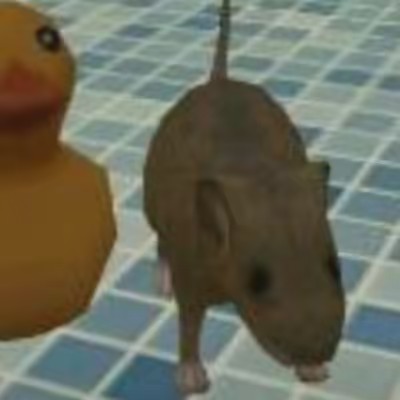 𝕯 <3❤︎♥️🌹