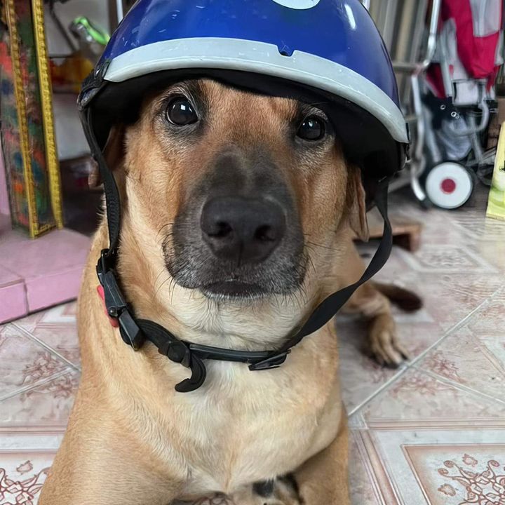 Team Bất Thường🫥