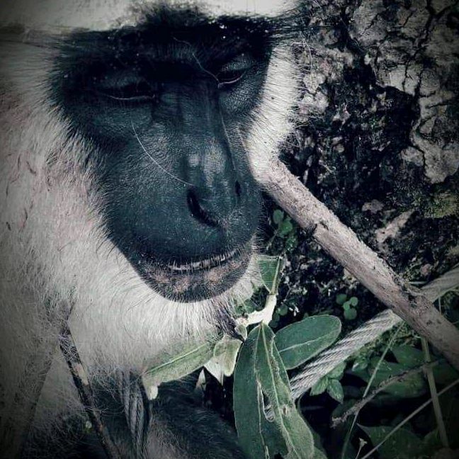 200:20 👊👊🤘🤘