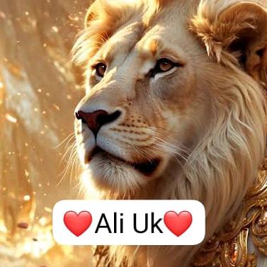 Ali❤️uk❤🇵🇰❤️