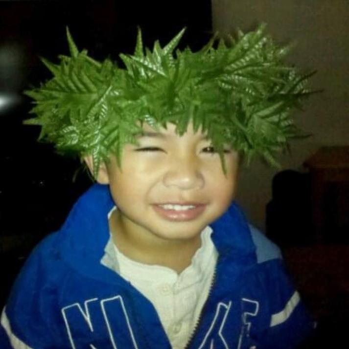 𝕶𝖆𝖓𝖆𝖍𝖊 💯