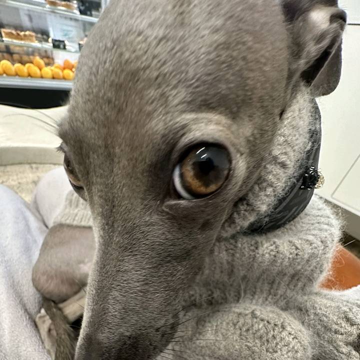 JAEKYUNG VA A CAMBIAR