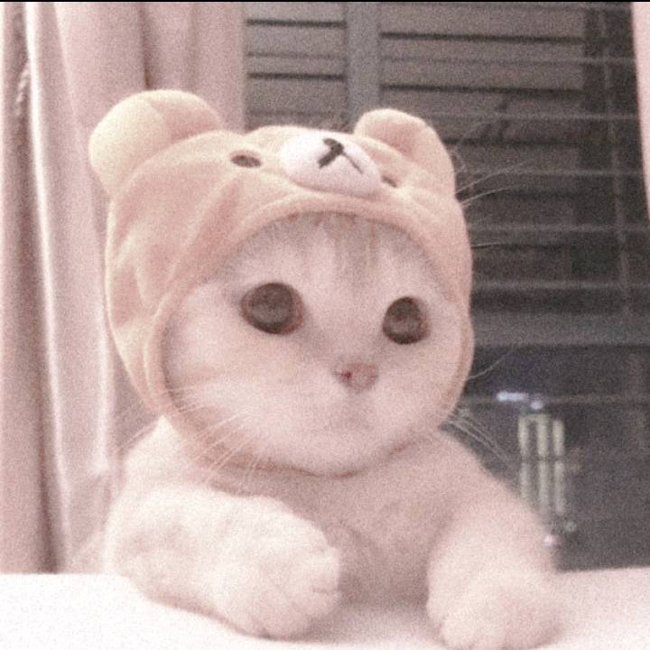 「𝙨𝙤𝙛𝙩𝙭𝙗𝙚𝙡𝙖.𝙖𝙣𝙖」