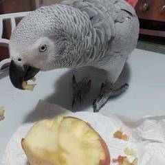 Manuel Del Pilar Ramirez Segura