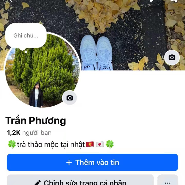 Phương Tũn